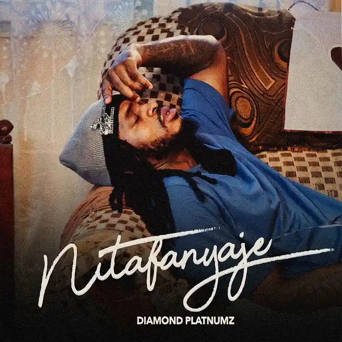 DOWNLOAD: Diamond Platnumz – “Nitafanyaje” Video & Audio Mp3