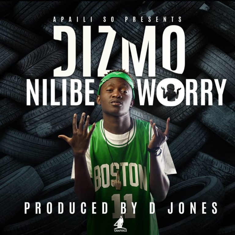 DOWNLOAD: Dizmo – “Nilibe Worry” Mp3