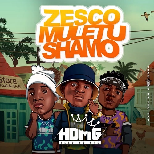 DOWNLOAD: HDMG – “ZESCO Muletushamo” Mp3