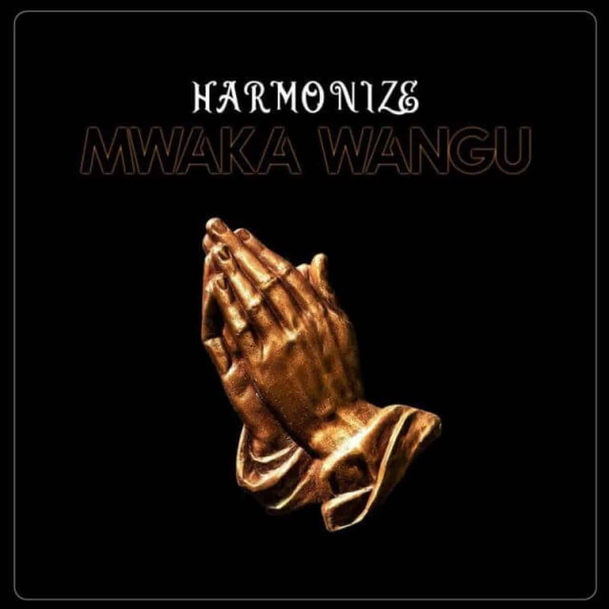 DOWNLOAD: Harmonize – “Mwaka Wangu” Mp3