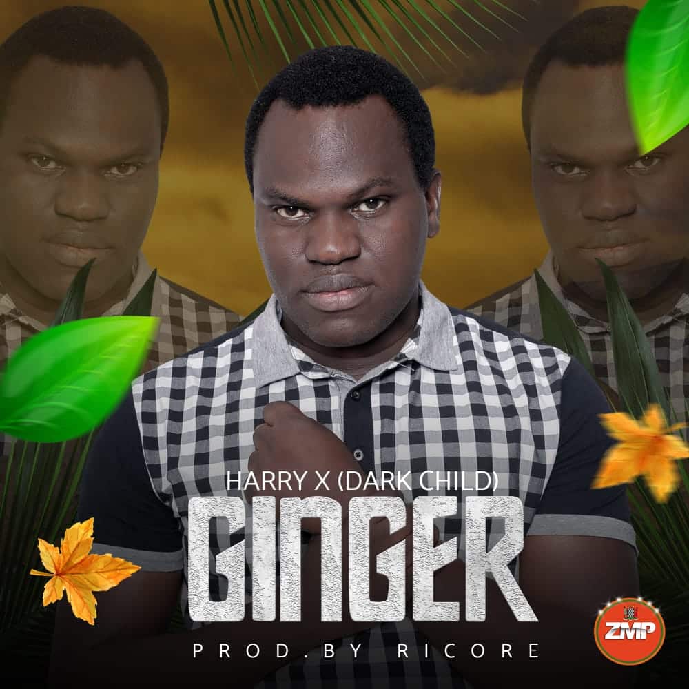 DOWNLOAD: Harry X (Dark Child) – “Ginger” Mp3