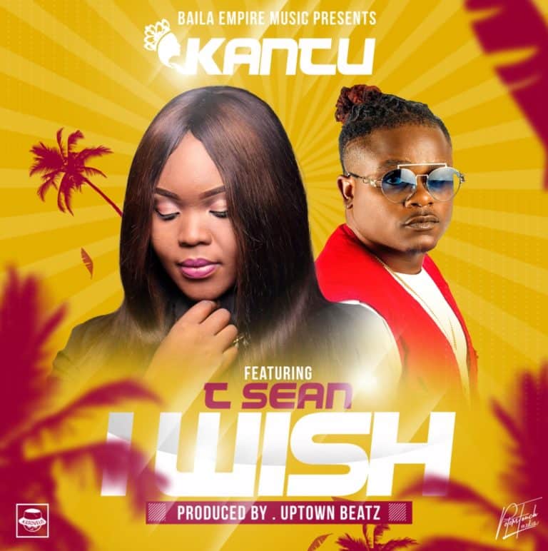 DOWNLOAD:Kantu ft T Sean – I wish (prod by uptown beats)