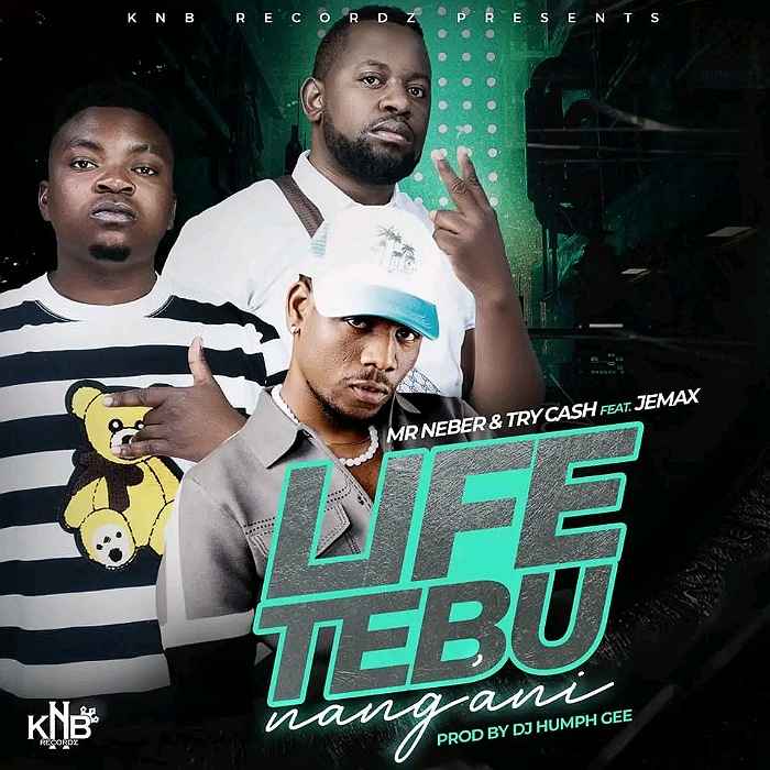 DOWNLOAD: Mr Neber & Try Cash Ft Jemax – “Life Tebunang’ani” Mp3