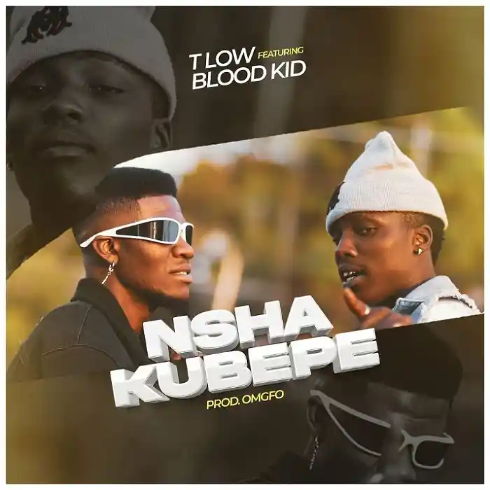 DOWNLOAD: T Low Ft Blood Kid – “Nshakubepe” Mp3