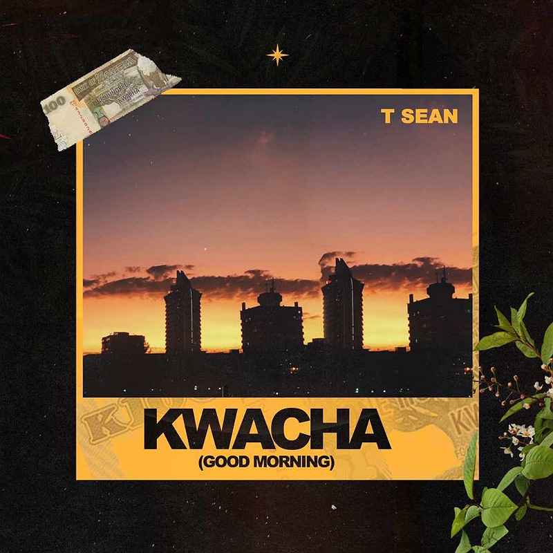 DOWNLOAD: T Sean – “Fever” Mp3