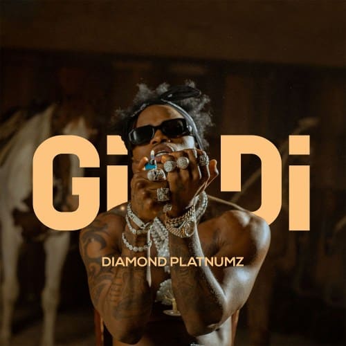 DOWNLOAD: Diamond Platnumz – “Gidi” (Mp3 + Video)