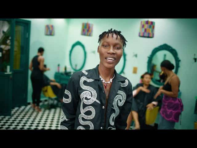 DOWNLOAD VIDEO: Zinoleesky – “YanYanYan” Mp4