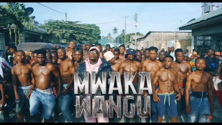 DOWNLOAD VIDEO: Harmonize – “Mwaka Wangu” Mp4