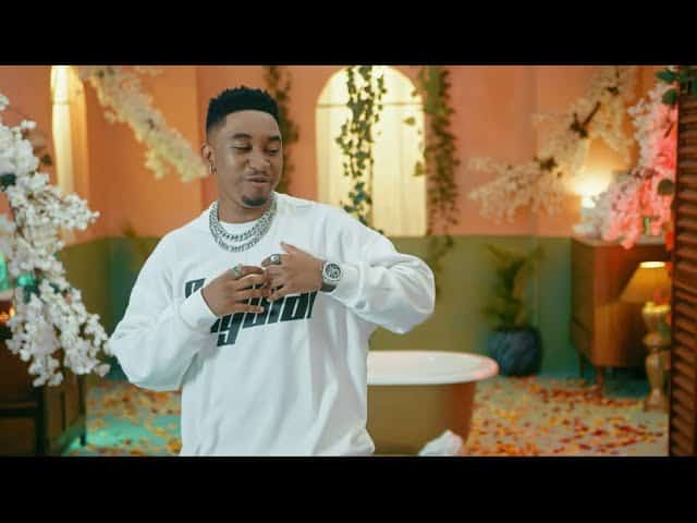 DOWNLOAD VIDEO: Jay Melody – “Nitasema” Official  Mp4