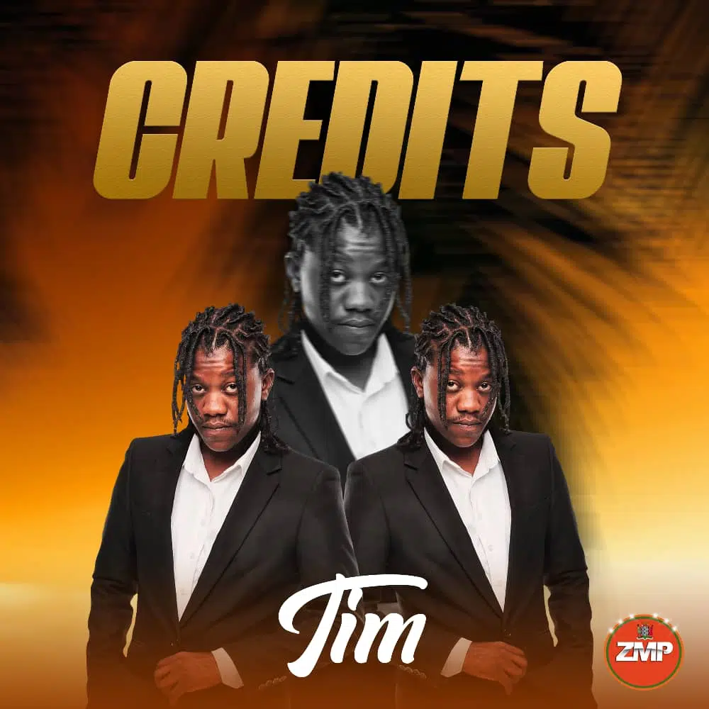 DOWNLOAD: TIM – “Credits” Mp3