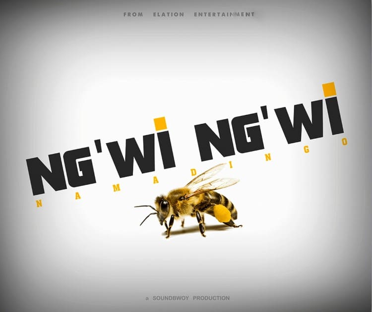 DOWNLOAD: Namadingo – “Ng’wi Ng’wi” Mp3